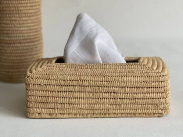 736123ba8a5edd16883e530076cccf7f74b06c44bc5a037f829eef61f624b811-1.jpeg 🤧 Raffia Tissue Box Cover 🌸