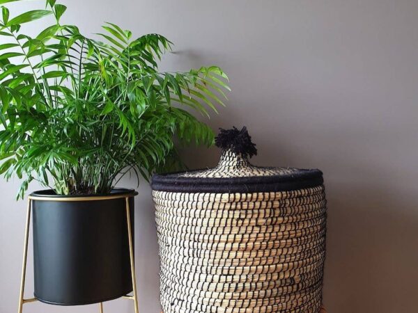 7f85e9a3e3109063fa3672874e72746b18bdf318ee2b833bbcc023e26167d66d-1.jpeg Woven Laundry Basket 🌸