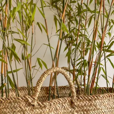 Raffia Baskets