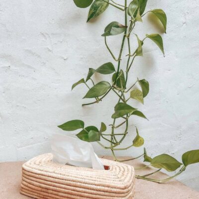 e7a2d44572516b9ba656268c76a3bb931c41ab979bc40028608d0cbc54b6c6c1-1.jpeg Handwoven Raffia Tissue Box Cover – Boho Natural Home Decor