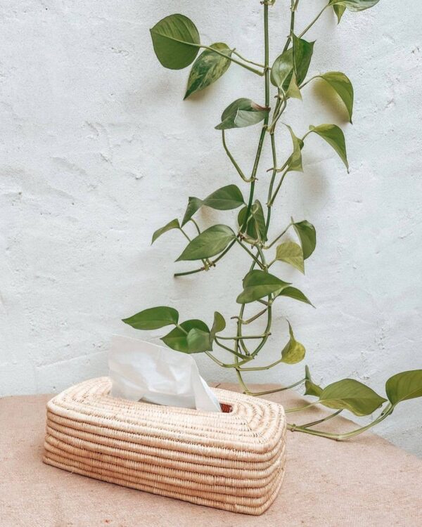 e7a2d44572516b9ba656268c76a3bb931c41ab979bc40028608d0cbc54b6c6c1-1.jpeg Handwoven Raffia Tissue Box Cover – Boho Natural Home Decor